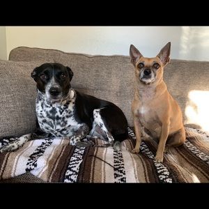 Meet your Posher, Lauralea